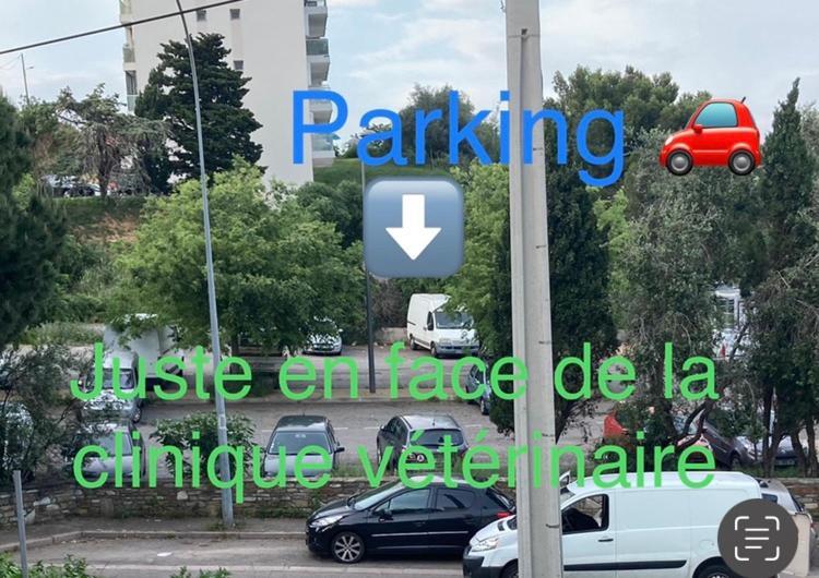 Location Chambre Avec Salle De Bain Et Partie Commune Sea View & Mountain View Renting 1 Of 3 Bedrooms With Shared Common Space 3 Bdrm Apt Not 1 Bdrm Plus Clime Ou Ac Bastia  Kültér fotó